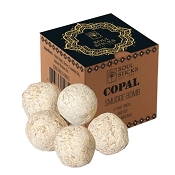 Soul Sticks Copal Smudge Bomb Incense, 5 Pieces with Ceramic Burner